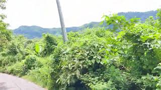 Thrilling Adventure from Bandarban to Nafakum Thanchi Sangu River [upl. by Mariandi]