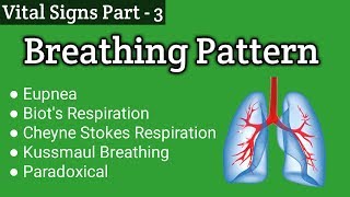 Abnormal Breathing Pattern  Altered Respirations  Vital Signs Part 3 [upl. by Reisfield]