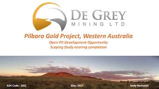 GOLDINVESTInterview De Grey Mining [upl. by Acinoryt]