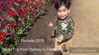 Floriade 2018 Canberra  Road Trip from Sydney to Canberra [upl. by Depoliti]