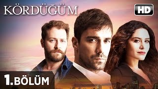 Kördüğüm Dizisi  Kördüğüm 1 Bölüm İzle [upl. by Crescint]