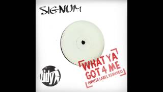 Signum  What Ya Got 4 Me Andy Farley Remix Tidy [upl. by Ponton568]