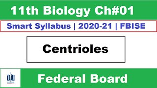 Centrioles Structure and Function Class 11 Biology Ilmi Stars Academy [upl. by Naes13]