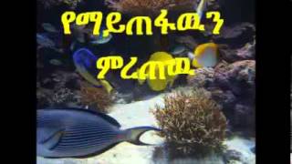 Tesfaye Gabiso  በኩርነትሕን ለምን ሸጥከዉ [upl. by Marozas]