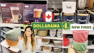 Dollarama Dollar Store Finds For Kitchen Pantry Storage amp Organization Dinnerware Sets dollarama [upl. by Nehcterg]