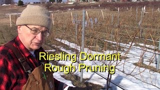 In the Vineyard with Al  Riesling Dormant Rough Pruning [upl. by Aisauqal]