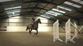 Behind The Scenes of Showjumping  Excelling Under Pressure [upl. by Guerin]