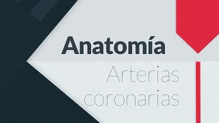 ANATOMÍA DE LAS ARTERIAS CORONARIAS [upl. by Tterb]