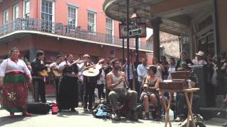 Tuba Skinny amp Los Mariachis on Royal St  quotDonde Estas Corazonquot [upl. by Alioz]