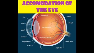 Anatomy of the accommodation reflex [upl. by Newsom464]