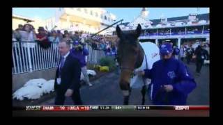 2011 Breeders Cup Mile Turf  Court Vision  Pre amp Post Race [upl. by Chem]