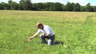 Rothamsted Research  The Park Grass experiment [upl. by Adian]