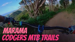 Marama  Codgers MTB Trails Nelson New Zealand November 22 [upl. by Aneehsram399]