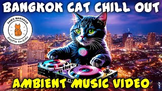 THE 1 CAT CHILLOUT VIDEO ON YOUTUBE  PAWS Bangkok 🐱🐱 [upl. by Revorg563]