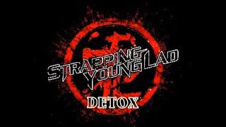 Strapping Young LAD  Detox With Lyrics [upl. by Mattah]