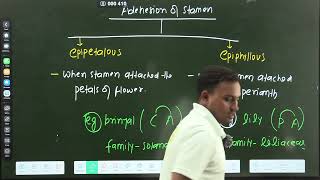 LEC06 MORPHOLOGY OF FLOWERING PLANTS by AVINASH GOYAL SIR [upl. by Oecam]