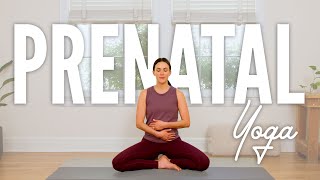 Prenatal Yoga  22Minute Home Yoga Practice [upl. by Idnib]