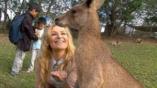 Natalya goes Down Under  Outside the Ring  Episode 39 [upl. by Sollie136]