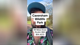 Caversham Wild Life Park  Great Activity in Perth WA [upl. by Forrer434]