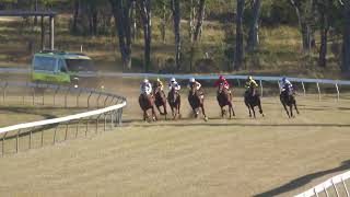 Gayndah 20240608 Race 4 [upl. by Nastassia445]