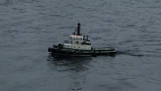 Wallasey Model Boat Society club day July 5th 2023 [upl. by Fennell]