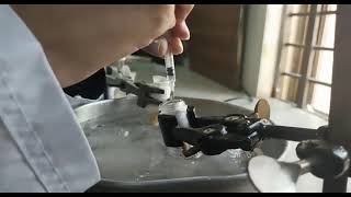 Simple method to prepare hydrazide from esters II Chemistry Practical Series [upl. by Ailaza858]