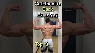 Best Calisthenics Back exercises [upl. by Mccurdy326]