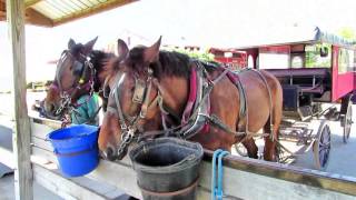 Amish Village Lancaster Pennsylvania [upl. by Hijoung77]