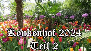 Keukenhof 2024 Teil 2 [upl. by Sucitivel360]