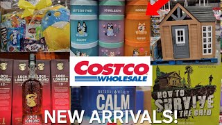 COSTCO SHOPPING NEW ARRIVALS BLUEY EASTER BASKETS AMD MORE WALKTHROUGH 2024 [upl. by Piwowar]