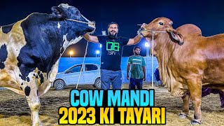 Cow Mandi 2023 ki tayarian 😍🐂 full heavy janwar agae 😳 [upl. by Timus]