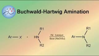 BuchwaldHartwig Amination Mechanism  Organic Chemistry [upl. by Neffirg]