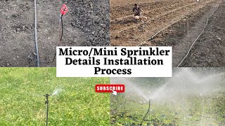 Micro Sprinkler Installation process  Micro Irrigation system [upl. by Ihpen]