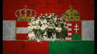 Why did AustriaHungary Collapse The underlying issue that caused the downfall of the Monarchy [upl. by Ynohtnanhoj]