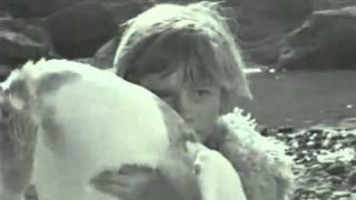 MIKRESAPHRODITES1963GreeceFilmbyNikosKoundourosHD CLIP [upl. by Normand569]