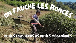 FAUCHON vs DÉBROUSSAILLEUSE sur nos ronces  quels outils choisir pour son projet DAUTOSUFFISANCE [upl. by Axela]