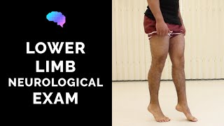 Lower Limb Neurological Examination  OSCE guide old version  UKMLA  CPSA [upl. by Leamse41]