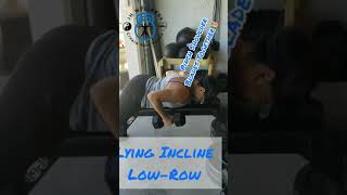 DB Incline LowRows quothowtoquot video exercise demo [upl. by Cavallaro958]