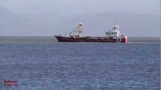 Swansea Bay Fishing Visit to Mumbles [upl. by Sydel481]