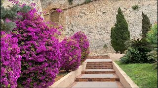 Ibiza 2023 Town Street Walk Market Beautiful Flowers Ibiza holidays [upl. by Westney]