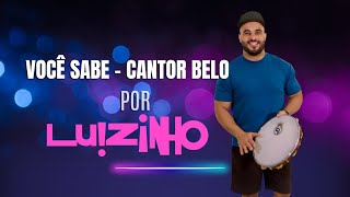 LUIZINHO 🎤 Você Sabe  BELO vocesabe belo cantorluizinho [upl. by Anil]