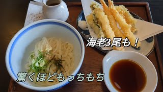 大右衛門 天山店【福岡県筑紫野市】〜うどん屋の天ぷらは旨い！〜 [upl. by Hett312]