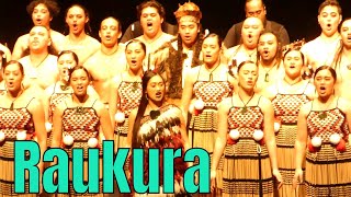 Kapa Haka performance  Raukura  Matariki festival 2019 [upl. by Donni]