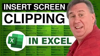 Excel  Insert Screenshots in Excel Using the Handy Screen Clipping Feature  Episode 1087 [upl. by Ocirled]