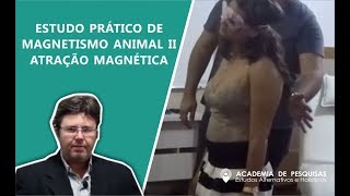 Estudo PrÁTico De Magnetismo Animal Ii  AtraÇÃO MagnÉTica [upl. by Dnalon]