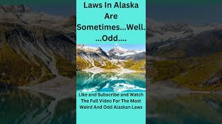 Funny Laws  A Weird World We Live In shorts [upl. by Dick]