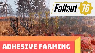 Fallout 76 Easy Unlimited Adhesive Farming Guide At Your CAMP Vegetable Starch [upl. by Ries]