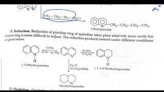 Quinoline and isoquinoline synthesis and the chemical reaction [upl. by Idnic]