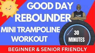 30 Minutes of Rebounder Mini Trampoline Exercise for Beginners amp Seniors Walk Bounce Jog Workout [upl. by Ynohtnaleahcim]