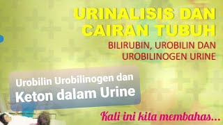 4 Urobilin Urobilinogen dan Keton Urine [upl. by Yddub]